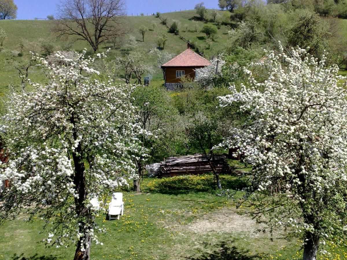 Гостевой дом Pensiunea Constanta Бран-15
