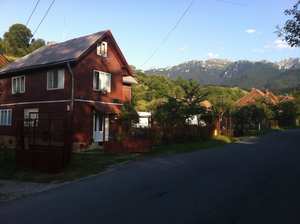 Гостевой дом Pensiunea Constanta Бран-18