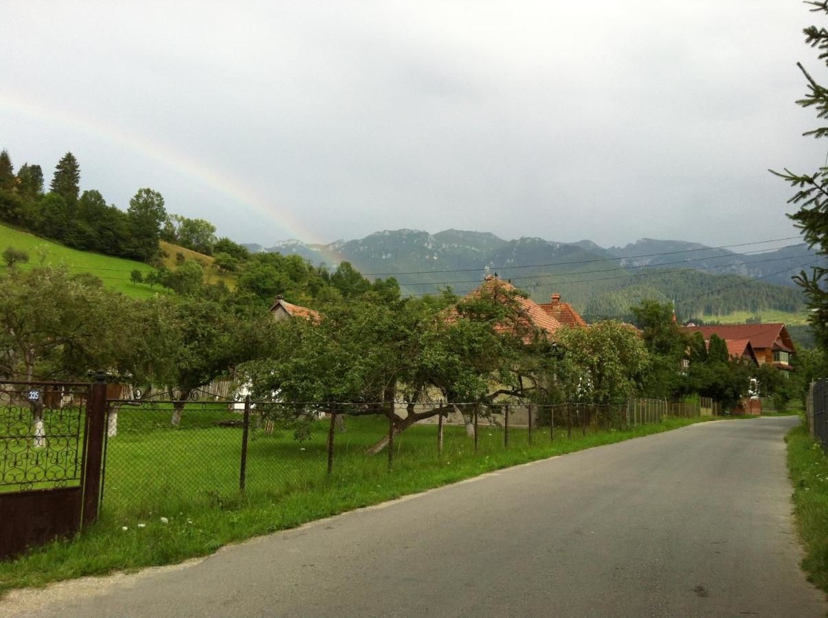 Гостевой дом Pensiunea Constanta Бран-20