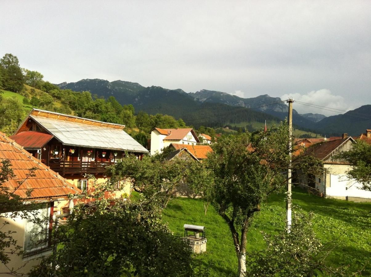 Гостевой дом Pensiunea Constanta Бран-22