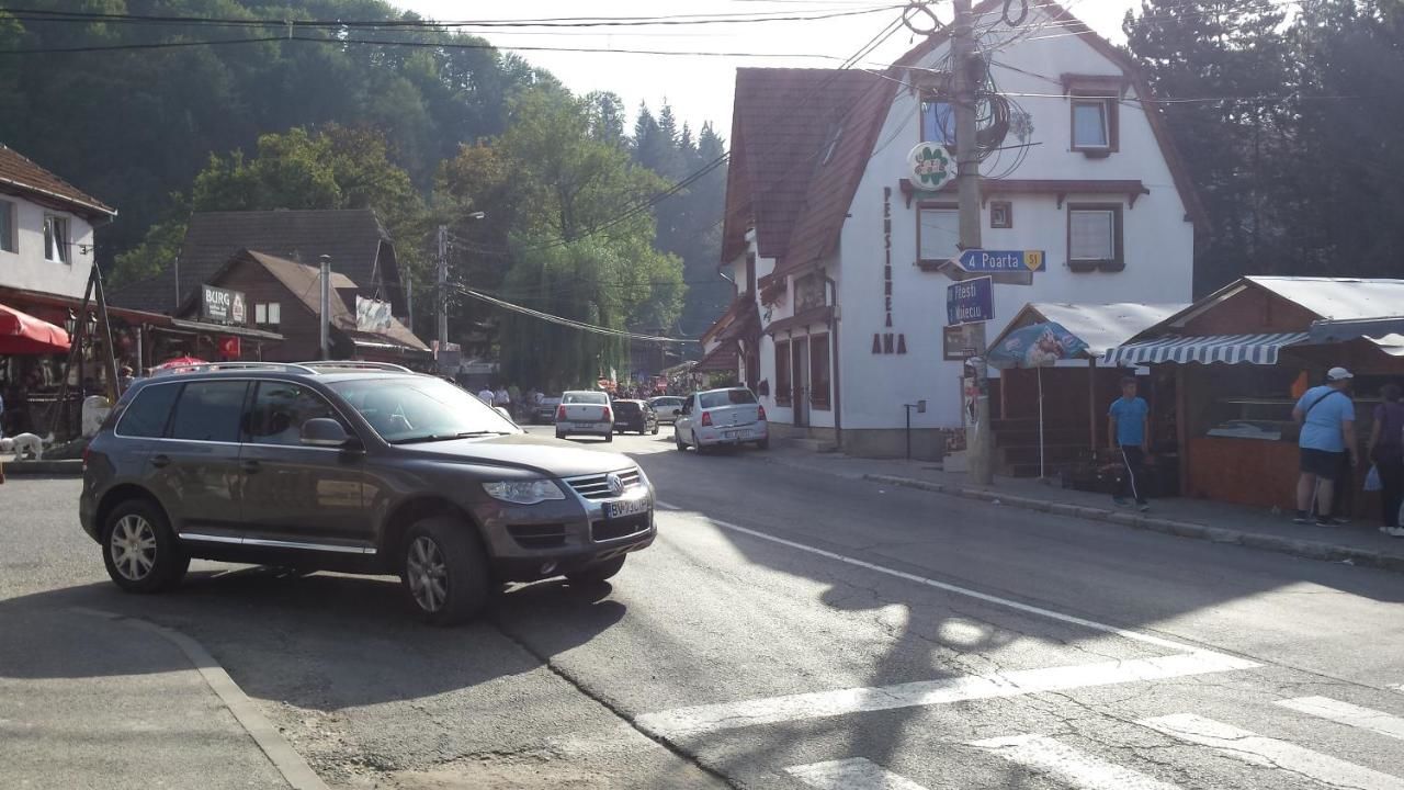 Гостевой дом Pensiunea Constanta Бран-24