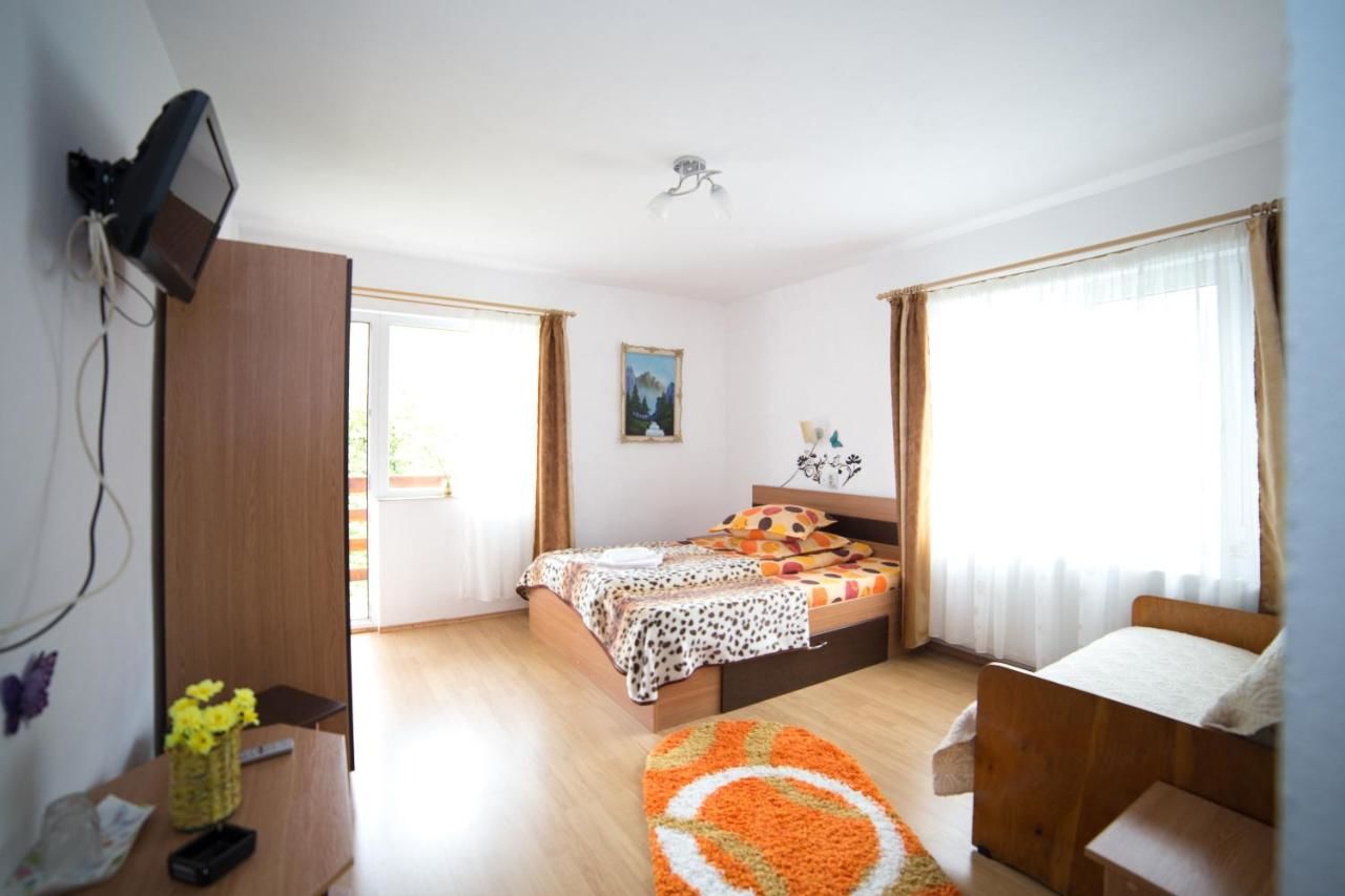 Гостевой дом Pensiunea Constanta Бран-33