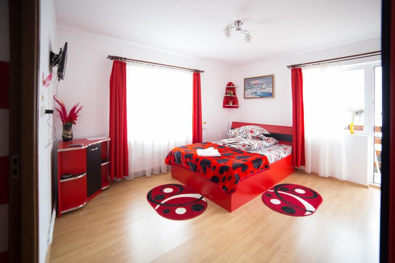 Гостевой дом Pensiunea Constanta Бран-34