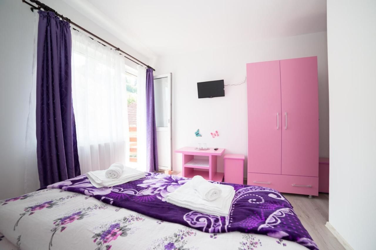 Гостевой дом Pensiunea Constanta Бран-12