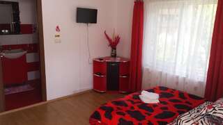 Гостевой дом Pensiunea Constanta Бран Двухместный номер с 1 кроватью и собственной ванной комнатой-1