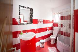 Гостевой дом Pensiunea Constanta Бран Двухместный номер с 1 кроватью и собственной ванной комнатой-3