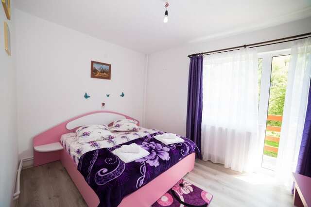 Гостевой дом Pensiunea Constanta Бран-10